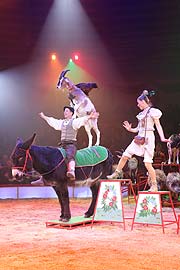 Maike und Jörg Probst präsentieren Haustiere in ihrer Bauernhof Revue  bei der Premiere des 2. Winterprogrammes 2018 des Circus Krone (©foto: Martin Schmitz)=